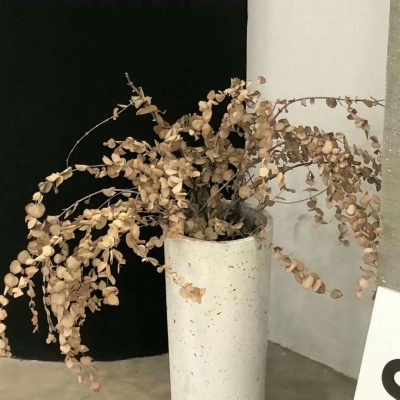 Furry插画灵感合集福瑞群